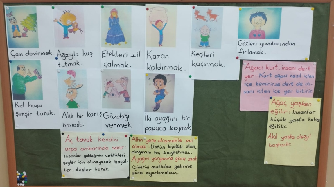 Dilimizin Zenginlikleri Ocak-Şubat Ayı Etkinlikleri